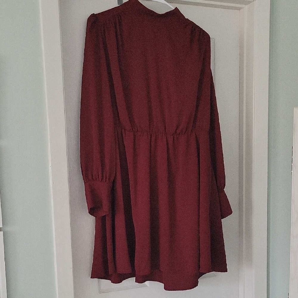 Express Maroon Long Sleeve Dress